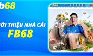 FB68 - Nhà Cái “Gây Sốt” Tại Thị Trường Việt Nam 2024